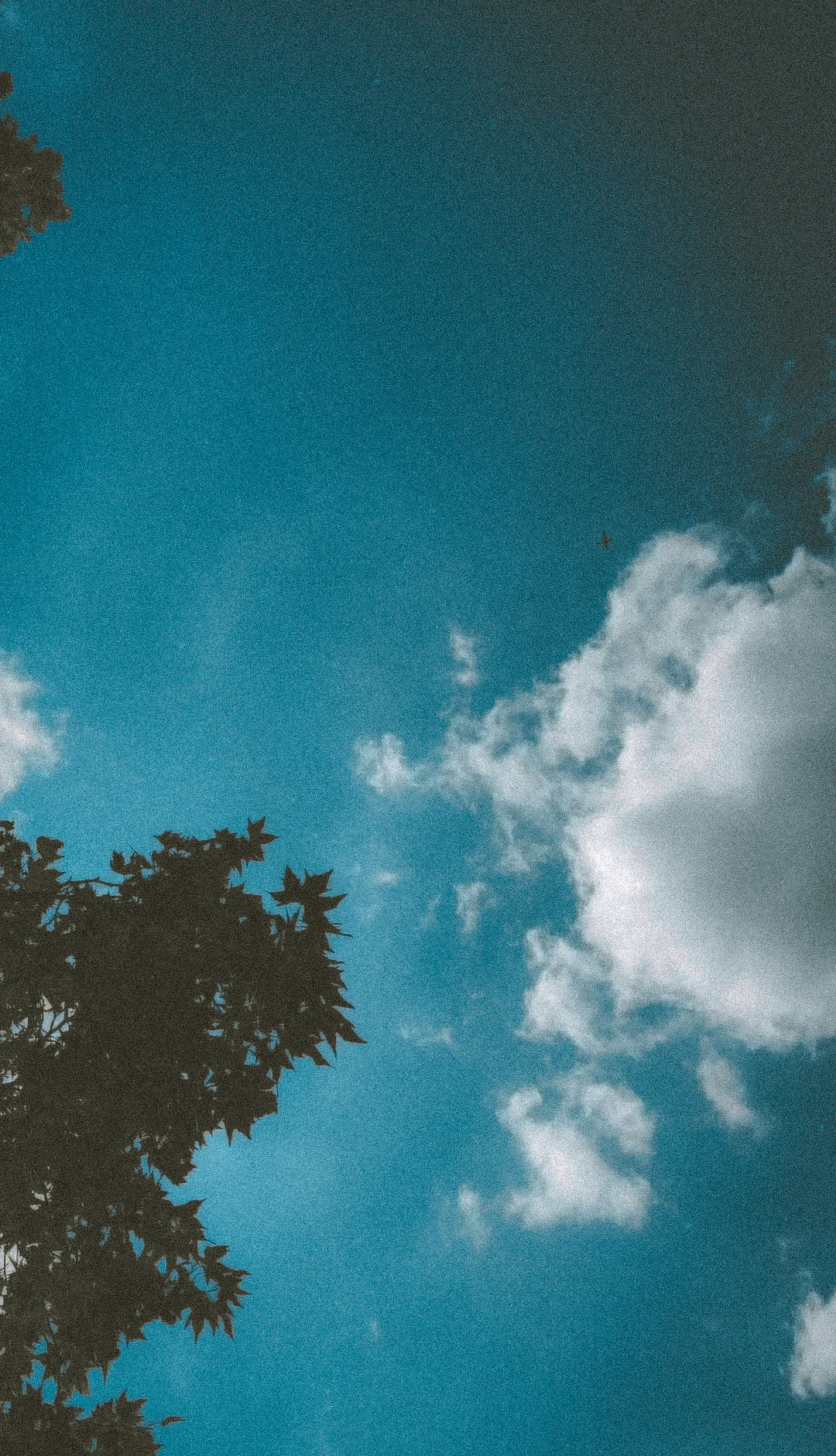 Sky 2